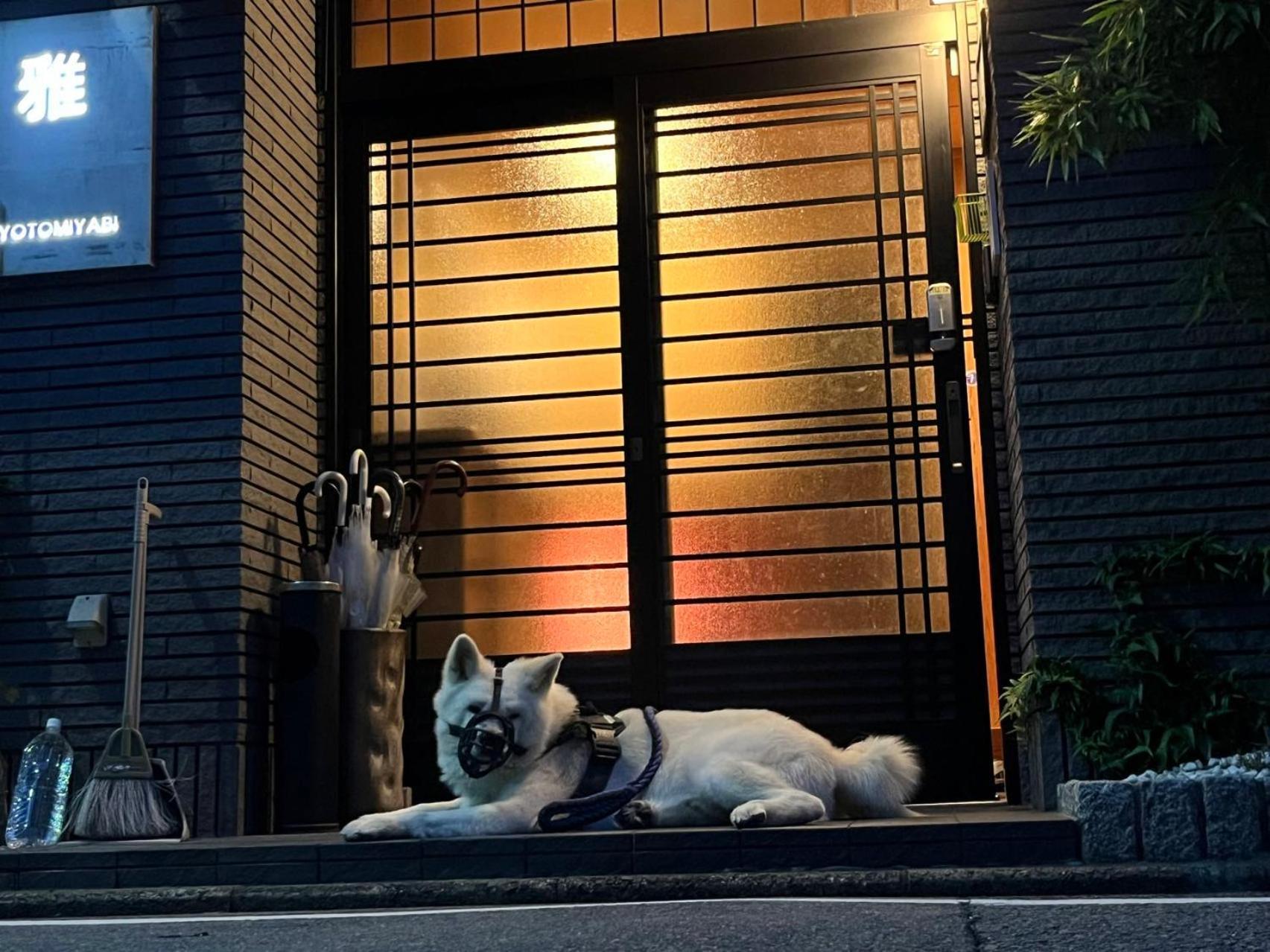 雅 Hotel เกียวโต ภายนอก รูปภาพ
